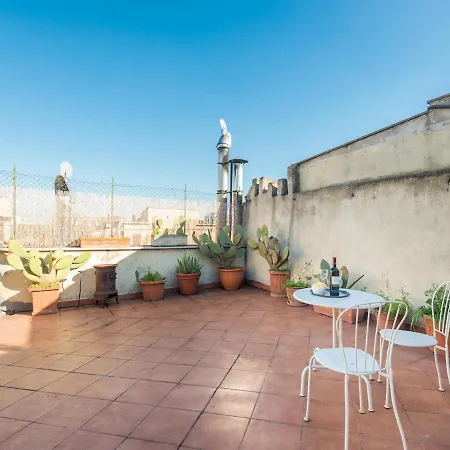 Terrace *